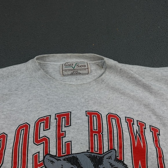 Vintage Wisconsin Badgers Sweatshirt Mens XL Gray Rose Bowl Galt Sand 90s - Picture 6 of 12